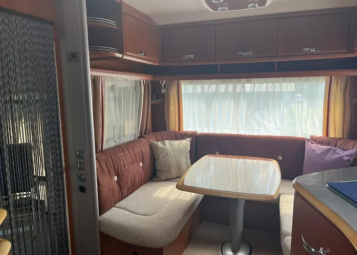 אתר קמפינג Alex *